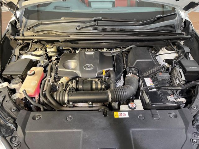 LEXUS NX300