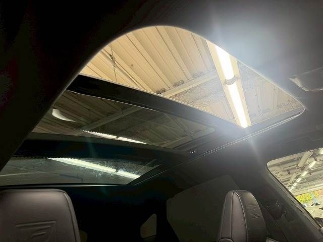 LEXUS RX500h