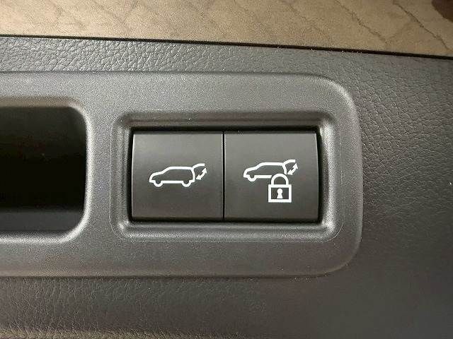LEXUS RX500h