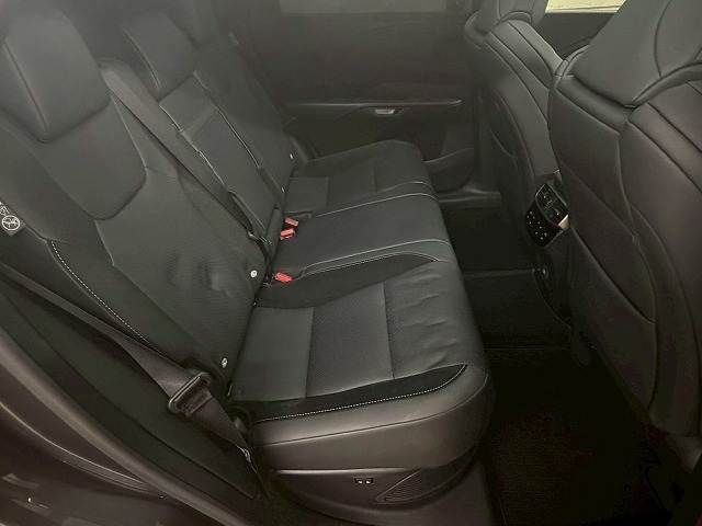 LEXUS RX500h