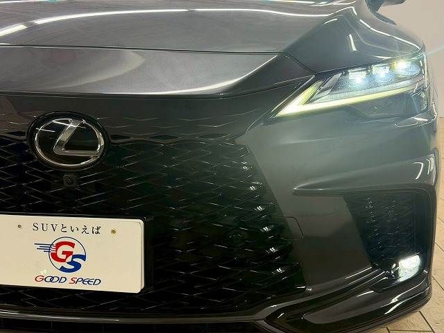 LEXUS RX500h