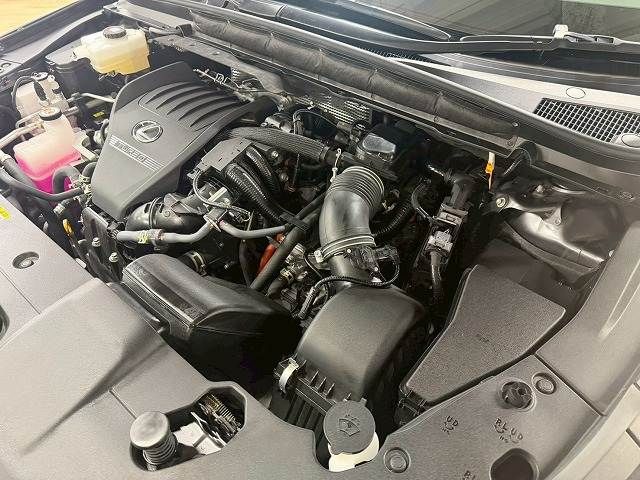 LEXUS RX500h