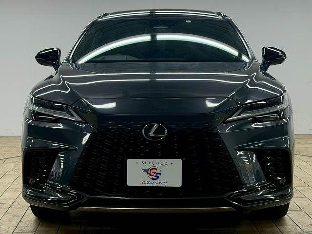 LEXUS RX500h