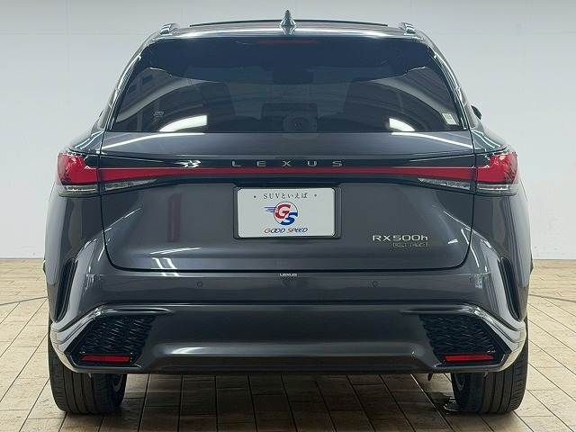 LEXUS RX500h