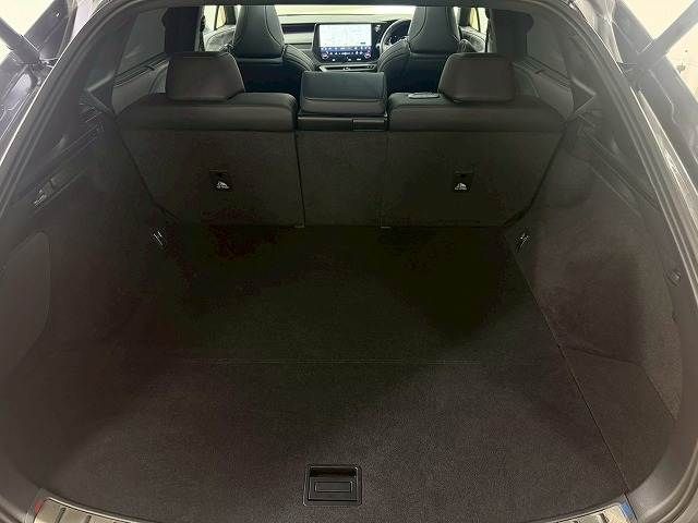LEXUS RX500h