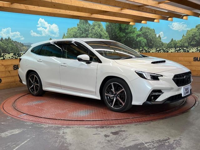 LEVORG