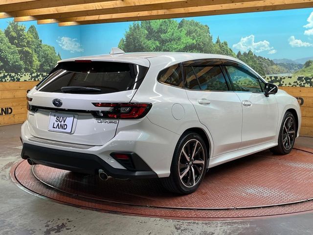LEVORG