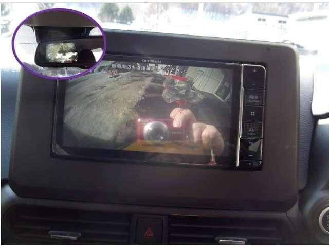 DAYZ 4WD
