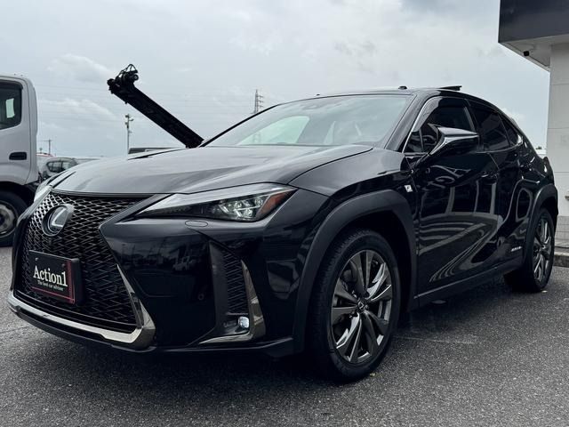 LEXUS UX250h