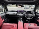 LEXUS UX250h