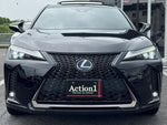 LEXUS UX250h