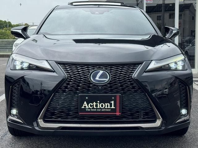 LEXUS UX250h