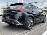 LEXUS UX250h