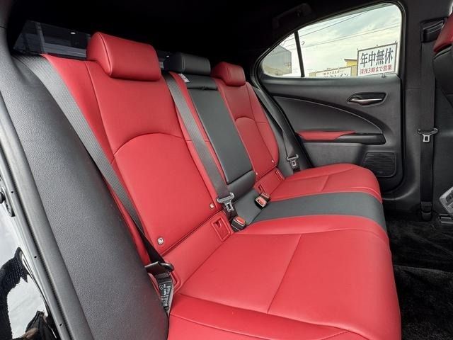 LEXUS UX250h