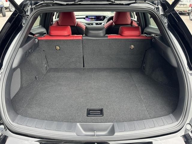 LEXUS UX250h