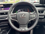LEXUS UX250h