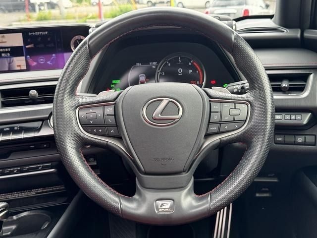 LEXUS UX250h