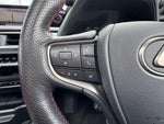 LEXUS UX250h
