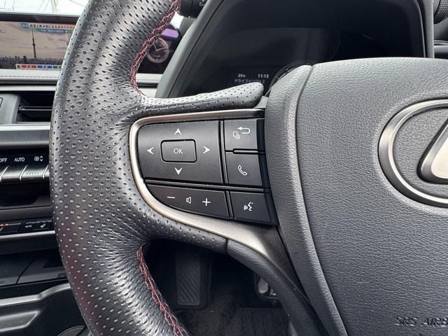 LEXUS UX250h