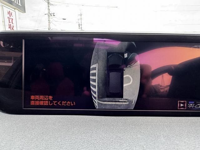 LEXUS UX250h