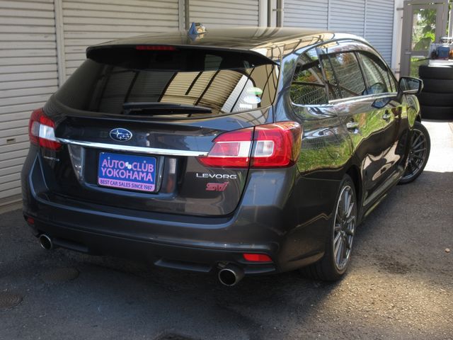 LEVORG