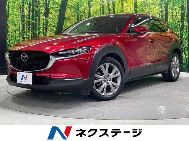 CX-30