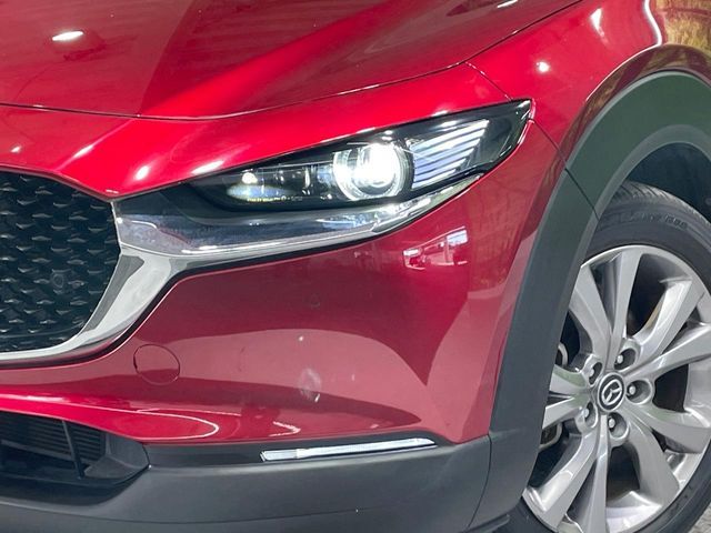 CX-30