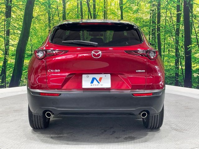 CX-30