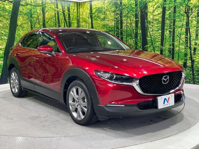 CX-30