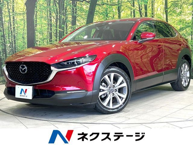 CX-30