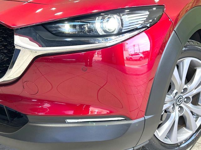 CX-30