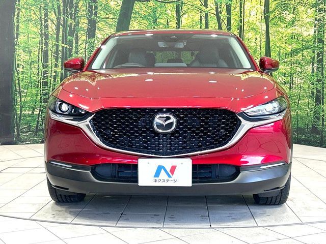 CX-30
