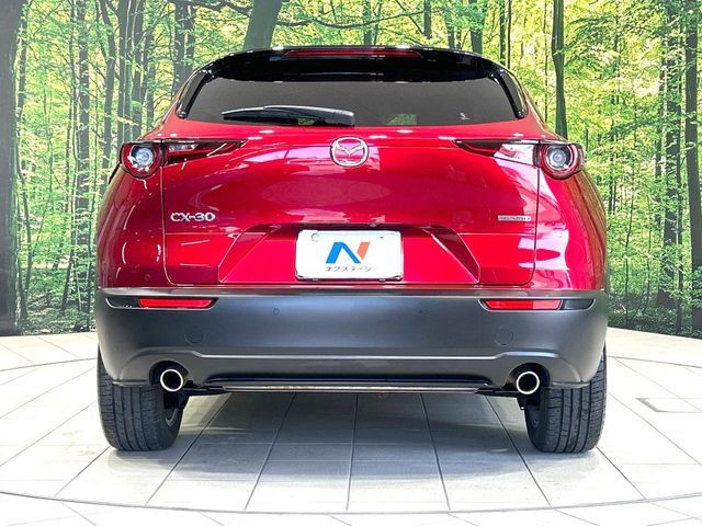 CX-30