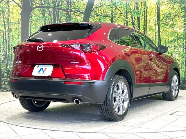CX-30