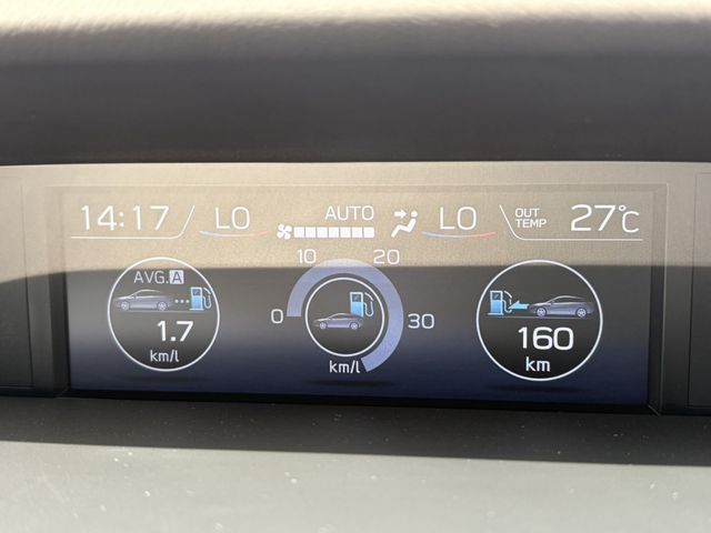 LEVORG