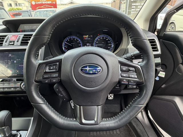 LEVORG