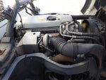 CANTER GUTS