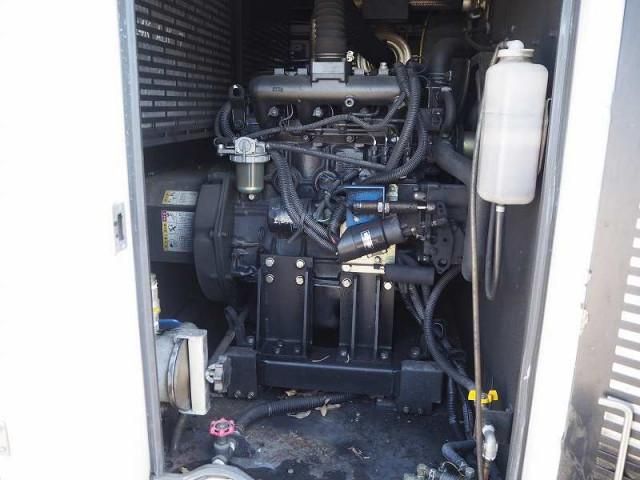 CANTER GUTS
