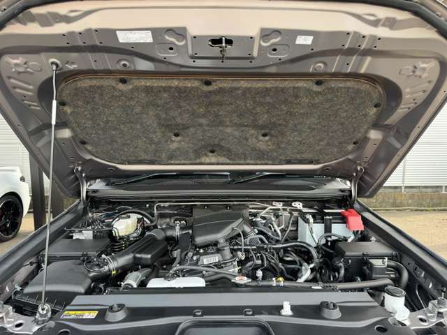 LANDCRUISER 250