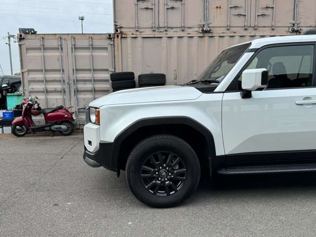 LANDCRUISER 250