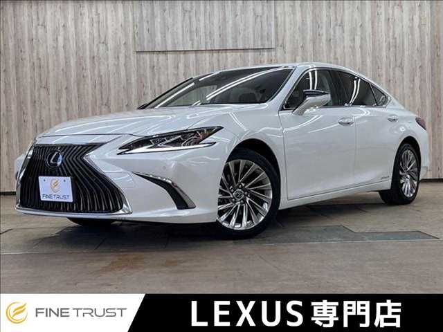 LEXUS ES300h