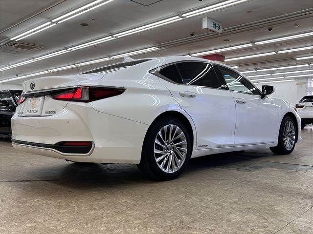 LEXUS ES300h