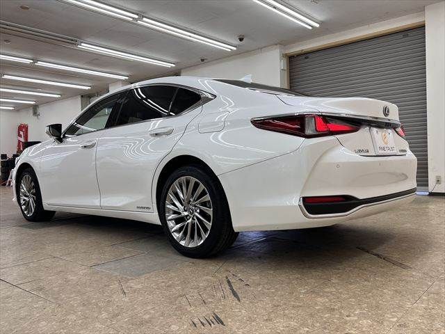 LEXUS ES300h