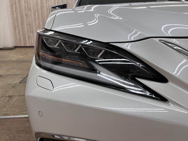 LEXUS ES300h