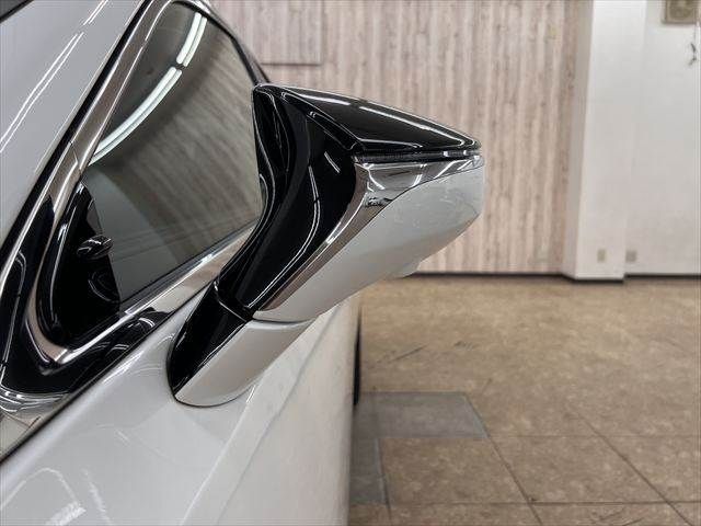 LEXUS ES300h