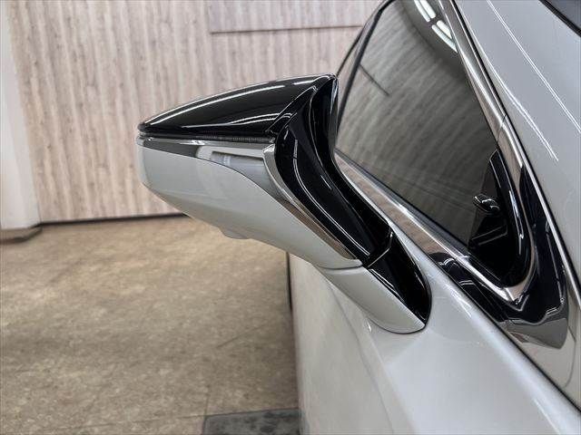 LEXUS ES300h