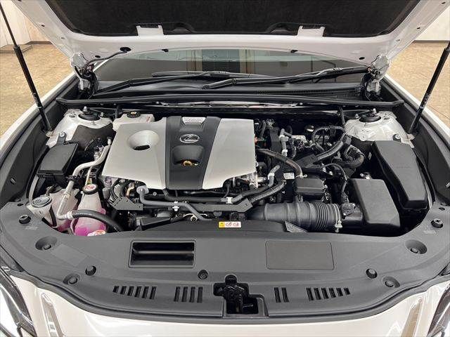 LEXUS ES300h