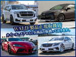 CARRY truck 4WD