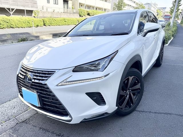 LEXUS NX300h AWD