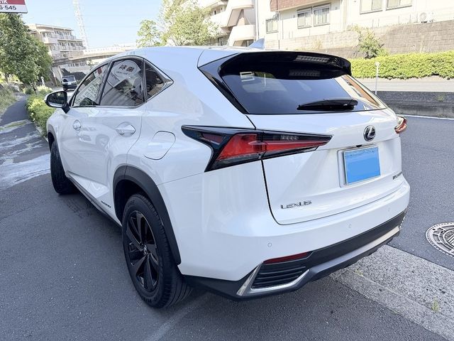LEXUS NX300h AWD